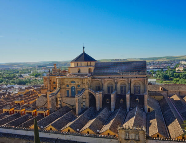 Cordoba mosque during a day trip from Seville